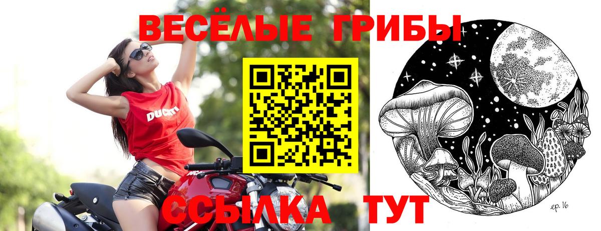 Галлюциногенные грибы GOLDEN TEACHER Артёмовский