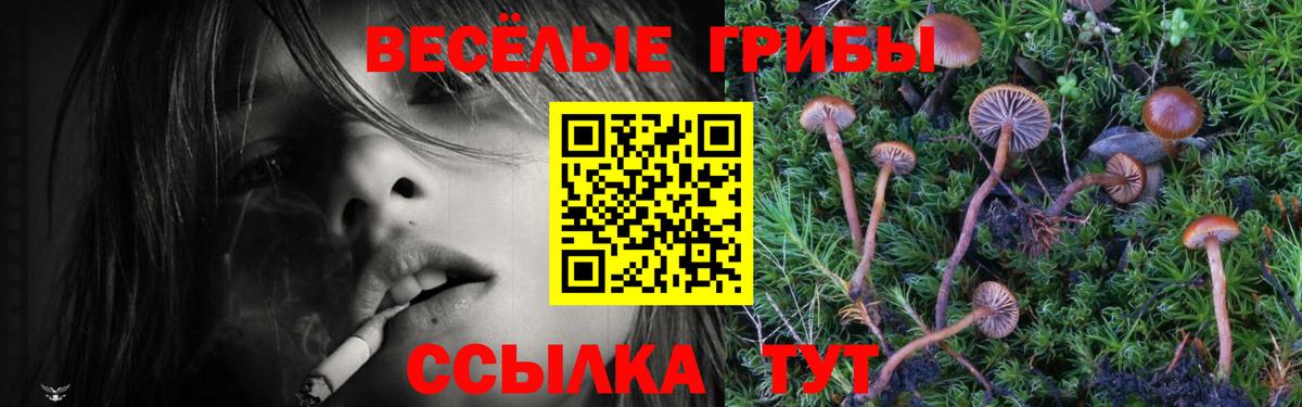 Галлюциногенные грибы Psilocybine cubensis  сколько стоит  Галлюциногенные грибы GOLDEN TEACHER  Артёмовский  Вход с VPN 